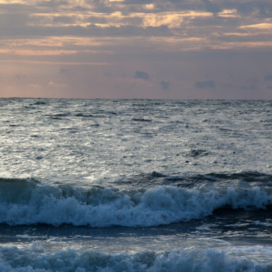 Ancient Ocean Fragrance Oil