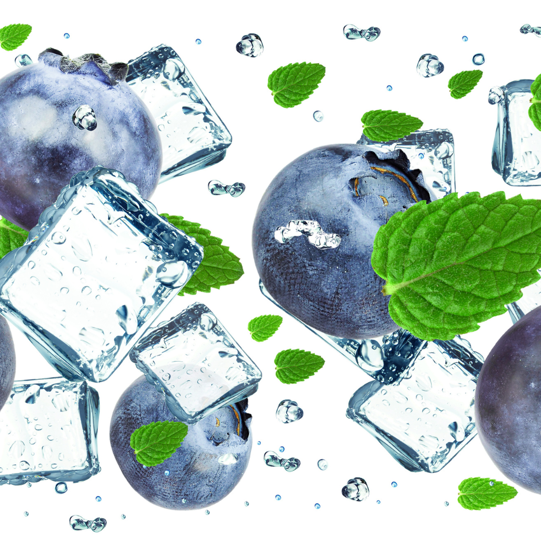 BLUEBERRY MINT SOY WAX MELTS