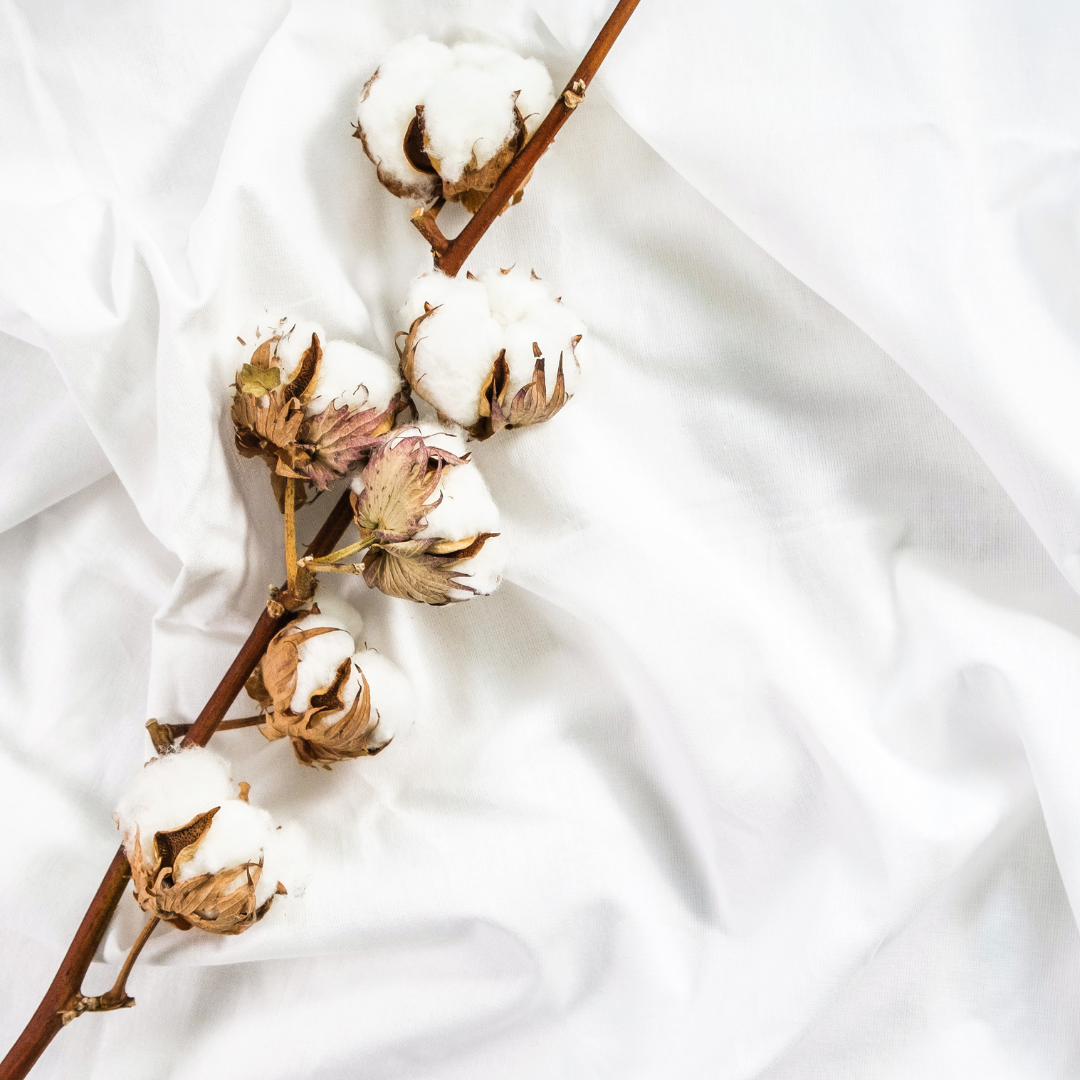 CLEAN COTTON SOY WAX MELTS