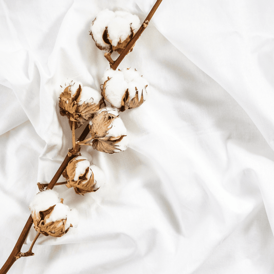 Clean Cotton Fragrance Oil