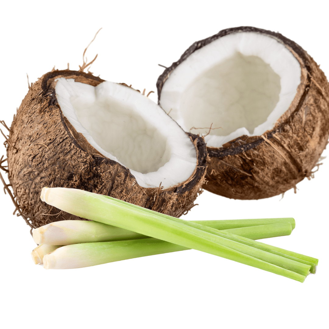 Coconut and Lemongrass Car Vent Diffuser Refill
