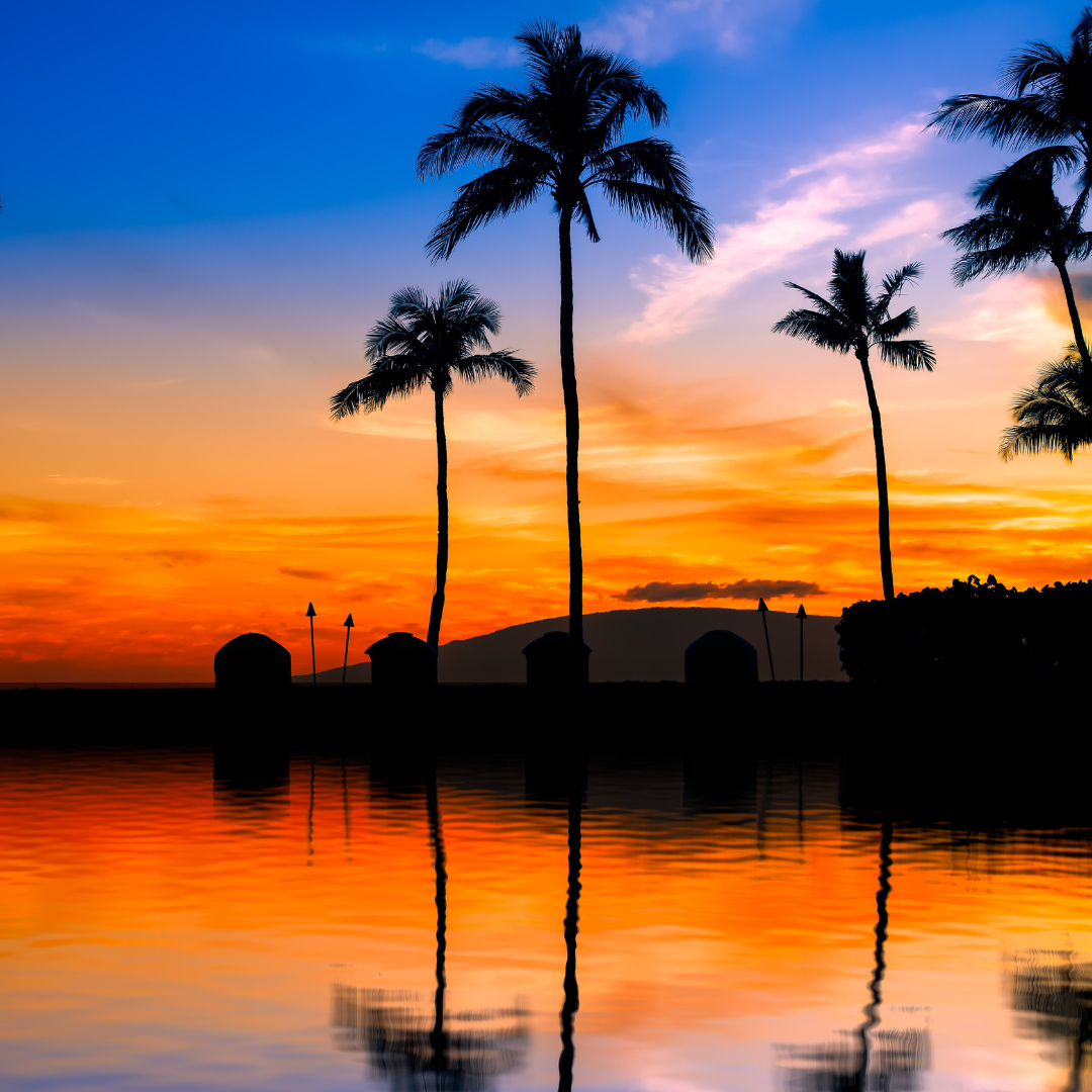 HAWAIIAN DREAM LUXE NAKED SOY WAX MELTS