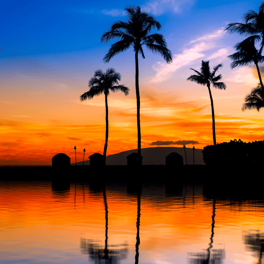 Hawaiian Dream Fragrance Oil