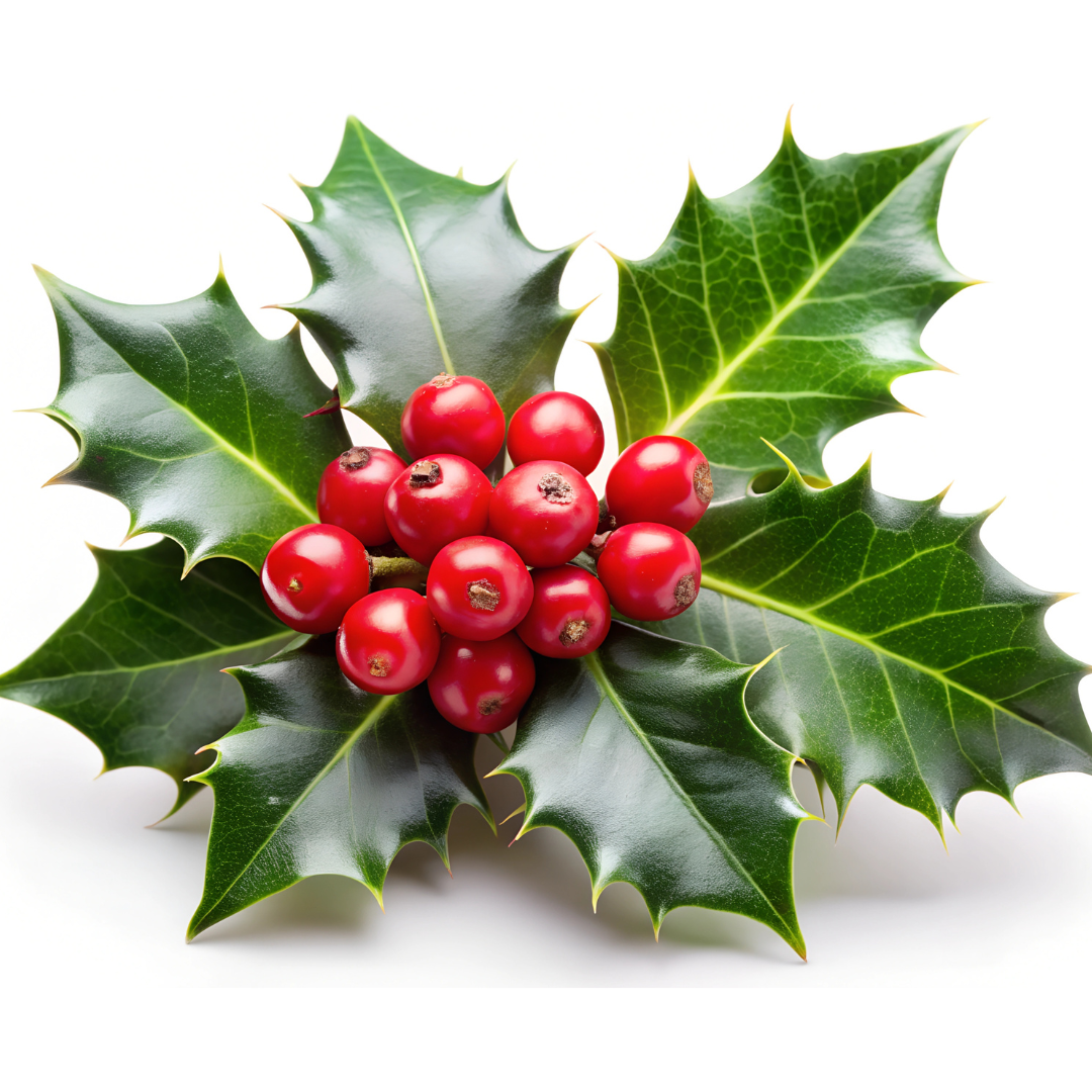 Holly Berry Soy Wax Choc Block