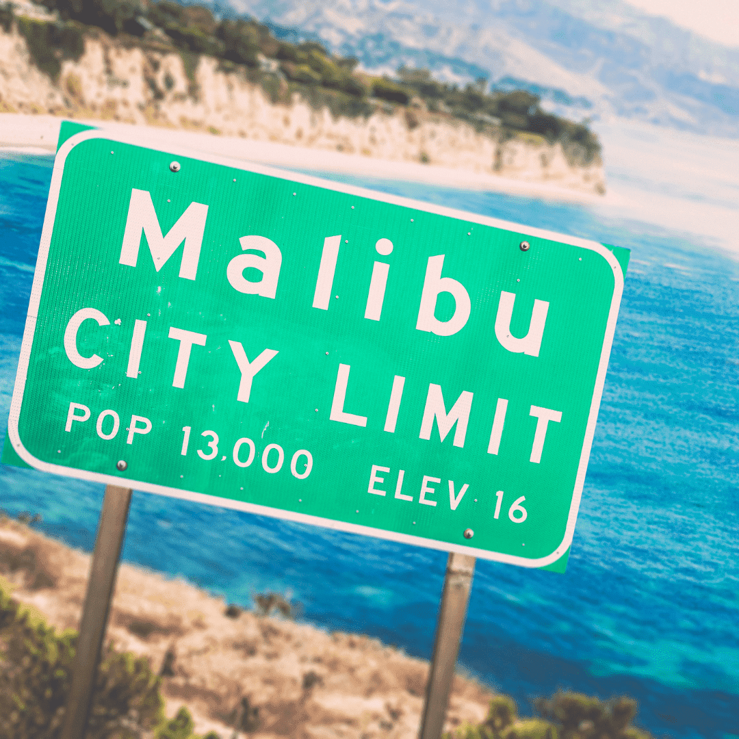MALIBU NIGHTS SOY WAX MELTS