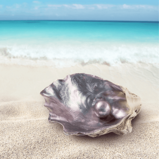 Ocean Pearl Fragrance Oil