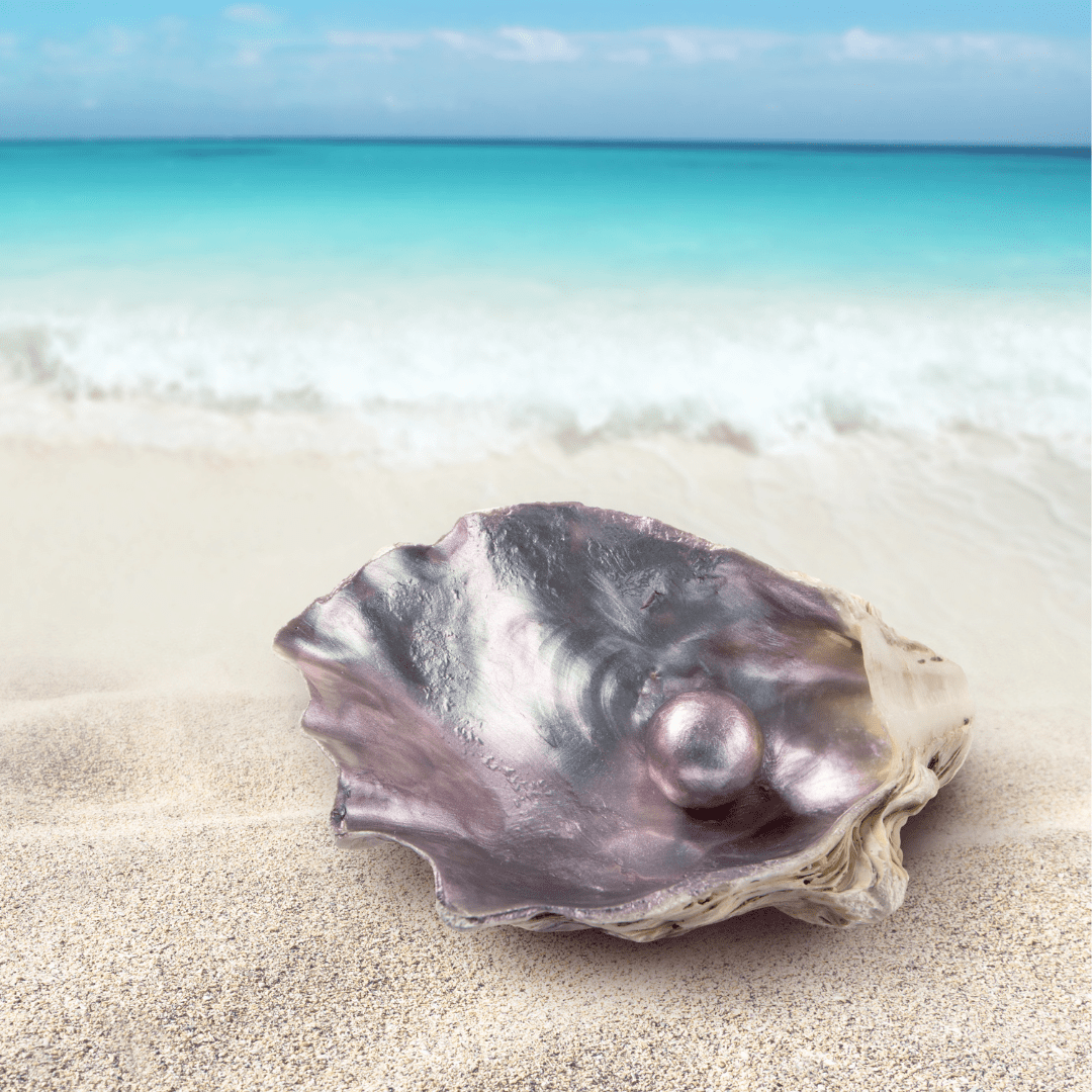 OCEAN PEARL SOY WAX MELTS