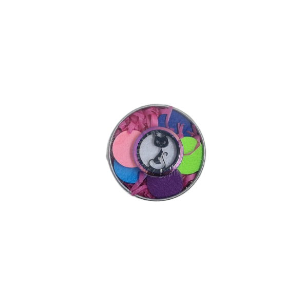 Rainbow Cat Car Vent Diffuser