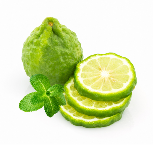 MINT BERGAMOT SOY WAX CHOC BLOCK