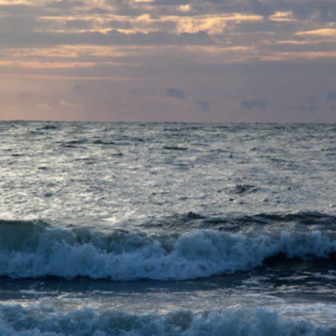 ANCIENT OCEAN SOY WAX MELTS