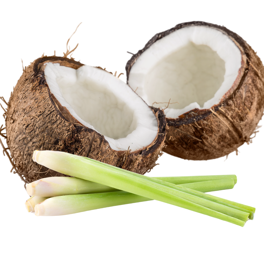 Coconut and Lemongrass Car Vent Diffuser Refill