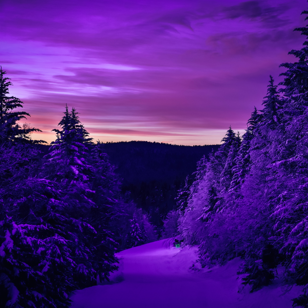 EVENING SNOW SOY WAX MELTS