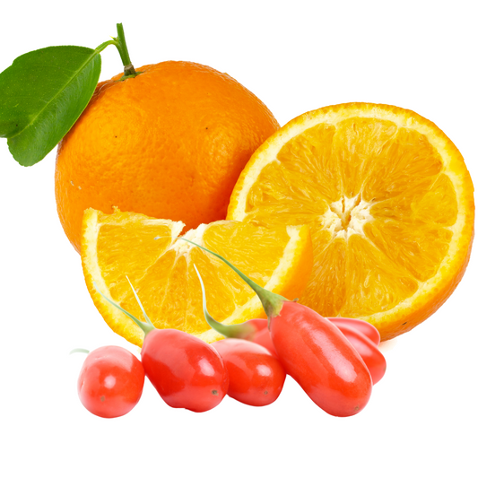 GOJI BERRY AND TAROCCO ORANGE SOY WAX SNAP BAR