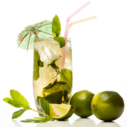 Havana Club Mojito Car Vent Diffuser Refill