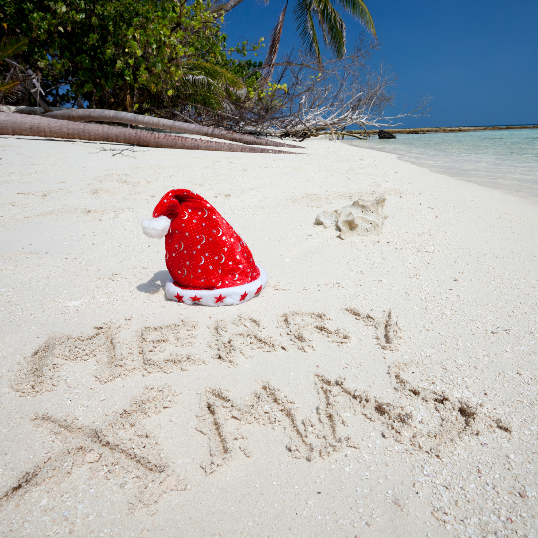 ISLAND XMAS SOY WAX MELTS