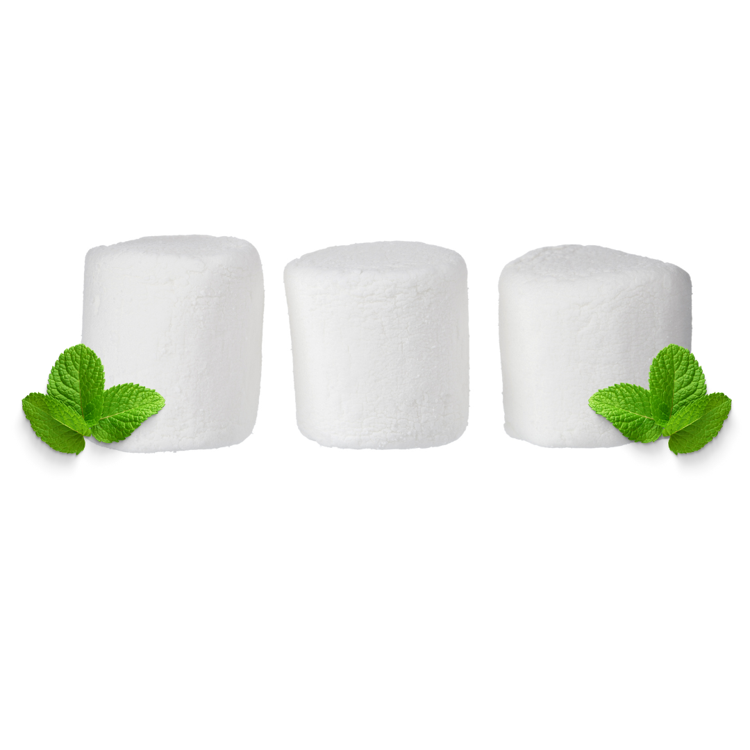 MARSHMALLOW MINT SOY WAX MELTS