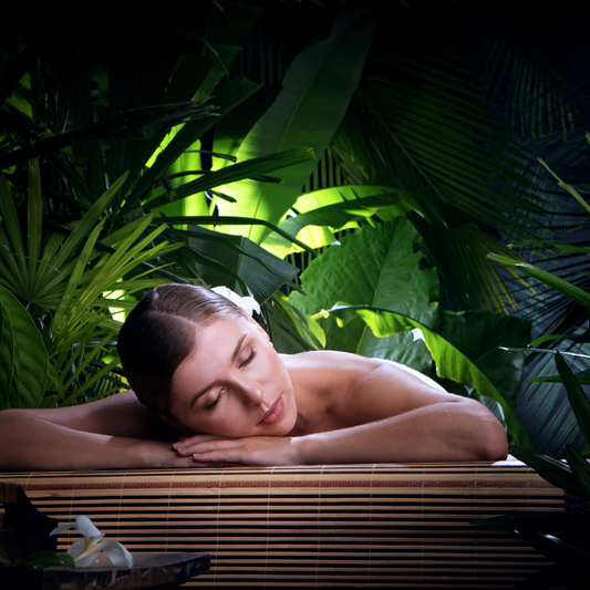 SIMPLY SPA SOY WAX SNAP BAR