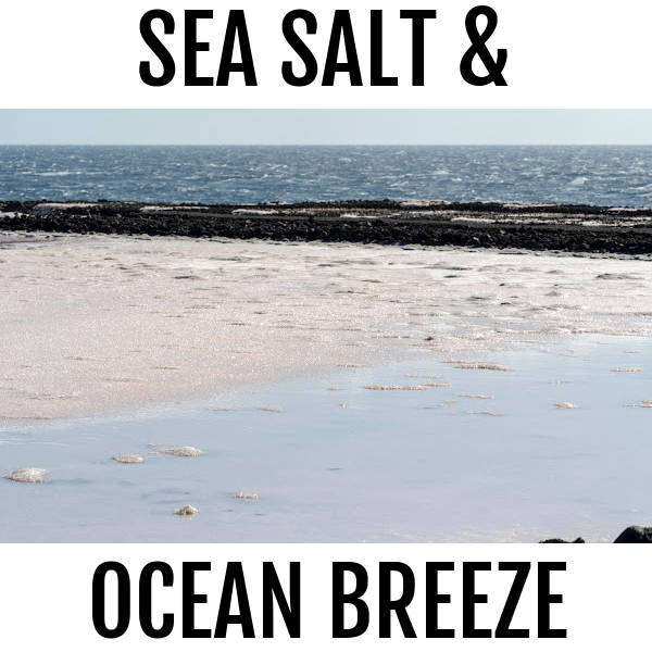 Sea Salt and Ocean Breeze Soy Wax Choc Block